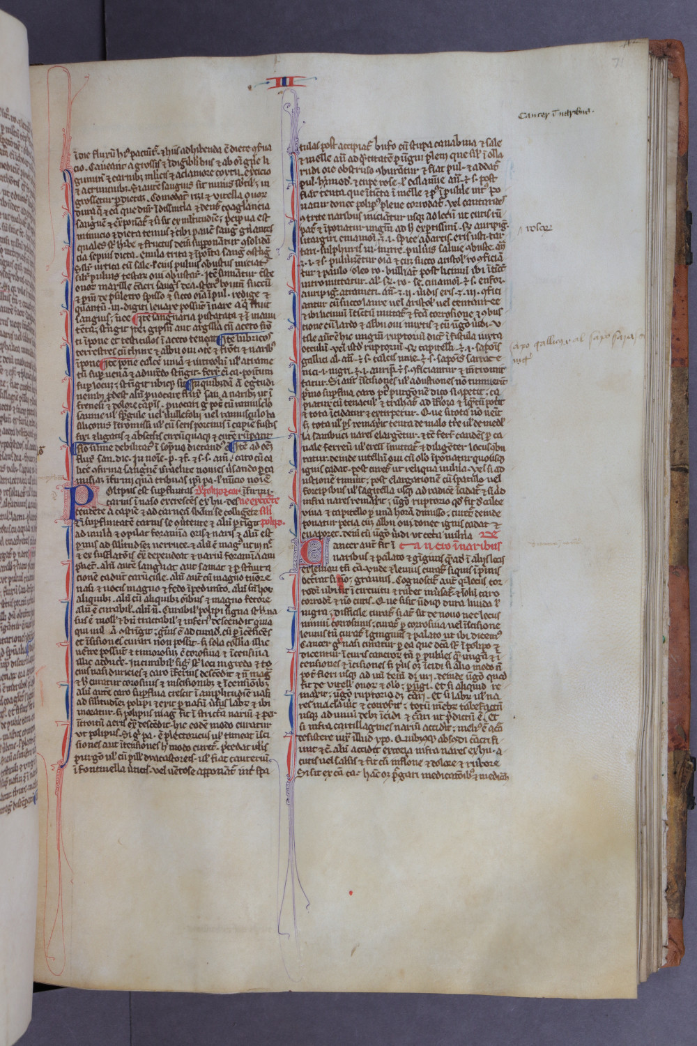 Folio 71 recto